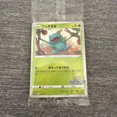 フシギダネ　プロモ　イラストレーションコンテスト2022 未開封