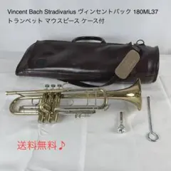 総銀製トランペットバルブガイド: 現行Bach(180シリーズ)用3個セット 総銀製トランペットバルブガイド: 現行Bach(180シリーズ)用3個
