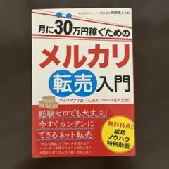 30万稼ぐためのメルカリ入門