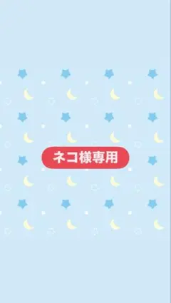ネイルチップ　（ネコ様専用）