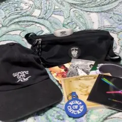 BUMP OF CHICKEN aurora ark まとめ売り