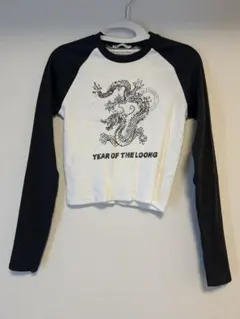 ZARA ドラゴンモチーフ ラグラン長袖カットソー