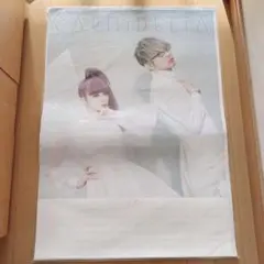 GARNiDELiA B2 非売品 ポスター - メルカリ