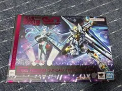 METAL ROBOT魂 ストライクフリーダムガンダム 初音ミク Ver.のサムネイル