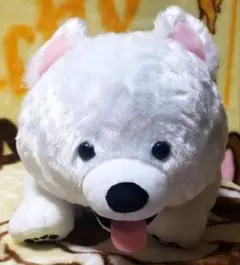 FANS★サモエド【ぬいぐるみ】サモエドの子犬ぬいぐるみXLのサムネイル