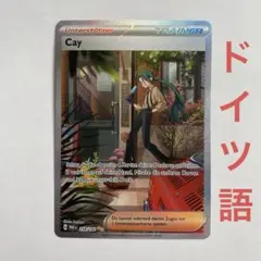 M*J様 チリ SAR 中国限定　③ 2025年最新】ポケモン チリ sarの人気アイテム - メルカリ