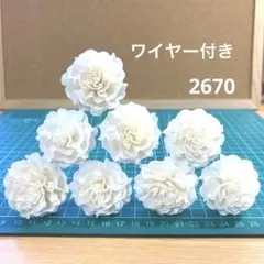 ソラフラワー　2670