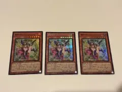 魔導師の弟子－ブラック・マジシャン・ガール 3枚 スーパー2枚