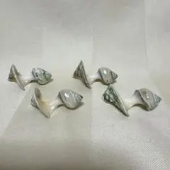 巻き貝　巻貝　箸置き　4個セットのサムネイル