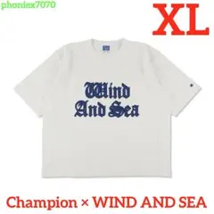 【Champion × WDS】 CRACK PRINT TEE【XL】ホワイト