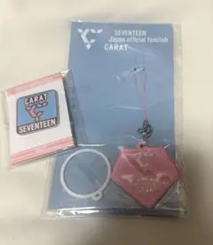 SEVEETEEN CARAT ファンクラブ　 ピンバッジ　キーチャーム