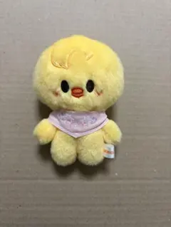 ポガリ アイドル