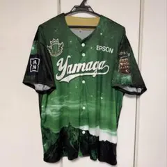 松本山雅FC ベースボールシャツのサムネイル