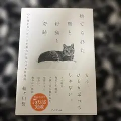 捨てられた僕と母猫と奇跡 : 心に傷を負った二人が新たに見つけた居場所