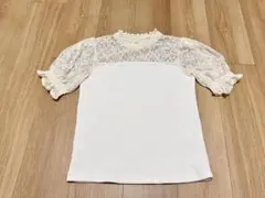 Item thumbnail for item cf455332-975f-496c-9d2b-5401df694926