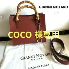 【美品】ジャノニ ノターロ　2WAY ハンドバッグ　バンブーハンドル　IENA