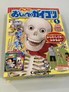 デアゴスティーニ　おしえて！おしゃべりがいこつ1～70 Amazon.co.jp: おしえて! おしゃべりガイコツ 70号 (人とからだ