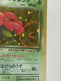 2026年最新】渦巻きホロの人気アイテム - メルカリ