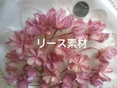 いちごみるく様 リクエスト 2点 まとめ商品