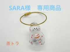 うちの子　【茶トラ3つ】SARA様専用