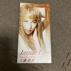 工藤静香/ジャガー・ライン
