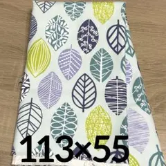 Item thumbnail for item 0fda7396-8c1c-40a7-b11f-a12ec4addb91