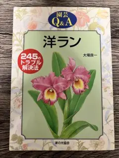洋ラン Q&A 245のトラブル解決法　大場良一　単行本