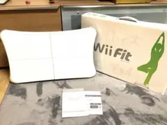 バランスボード テレビゲーム