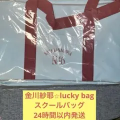 ち*人様 乃木坂46 井上和 個別バッグ 2026 福袋 Lucky Bag ス - メルカリ