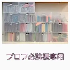 プロフ必読様専用