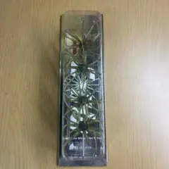 Item thumbnail for item ae79eba9-a0ea-4776-a02c-ee5f323afc62