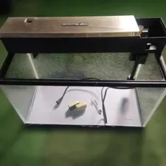 D-PET 660 ガラス水槽 60cm 上部フィルター付き　一式