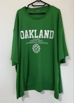 最終値下げ！美品・7L~10Lロゴ入りTシャツ♡グリーン♡