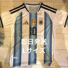 10番 メッシ アルゼンチン代表 背番号 ネームナンバーセット 決勝