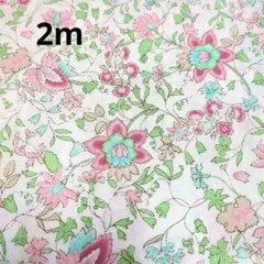 2m 60ローン　東洋的な花柄　延長可能