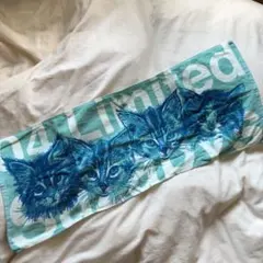 04 Limited Sazabys タオル