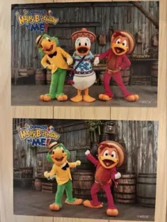 ❤︎リゾートドナルドお誕生日のスペシャルフォトwithホセキャリオカ&パンチート❤︎