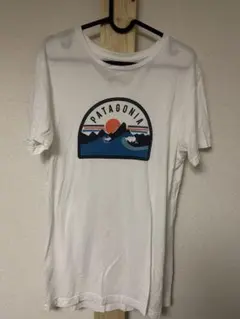 Patagonia ホワイト Tシャツ Sサイズ　パタゴニア　波　waves