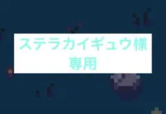 専用ページ