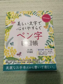 美しい文字で心がやすらぐペン字練習帳 大平恵理　未使用
