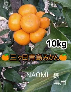 ★NAOMI様専用★三ヶ日みかん