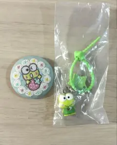 けろけろけろっぴ 刺繍缶バッジ＆チャームセット