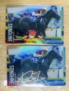 シーザリオ 直筆サインカード ( サラブレッドホースコレクション ) Amazon.co.jp: サラブレッドホースコレクション 当たり券 直筆