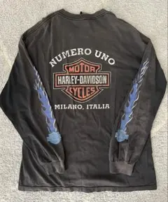 2025年最新】ハーレーダビッドソン Tシャツ フレイムの人気