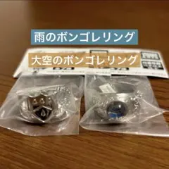 家庭教師ヒットマンREBORN! ボンゴレリングコレクション大空 雨 2点セット