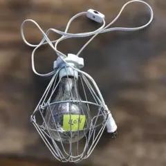 Item thumbnail for item a7bbc98e-0770-4377-ad9b-8eee00a24e0e