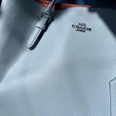 美品　モリートート　コーチ　バッグ【COACH】型番1671 ライトブルー　水色