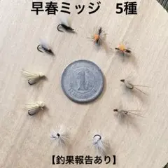 Item thumbnail for item 9f554af2-ca66-4b86-807d-4aa7192ce42c