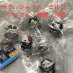 ヒロアカニャンコ