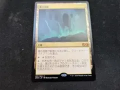 魂の洞窟 魂の洞窟/Cavern of Souls》[UMA] 土地R | 日本最大級 MTG通販